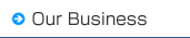 Our Business